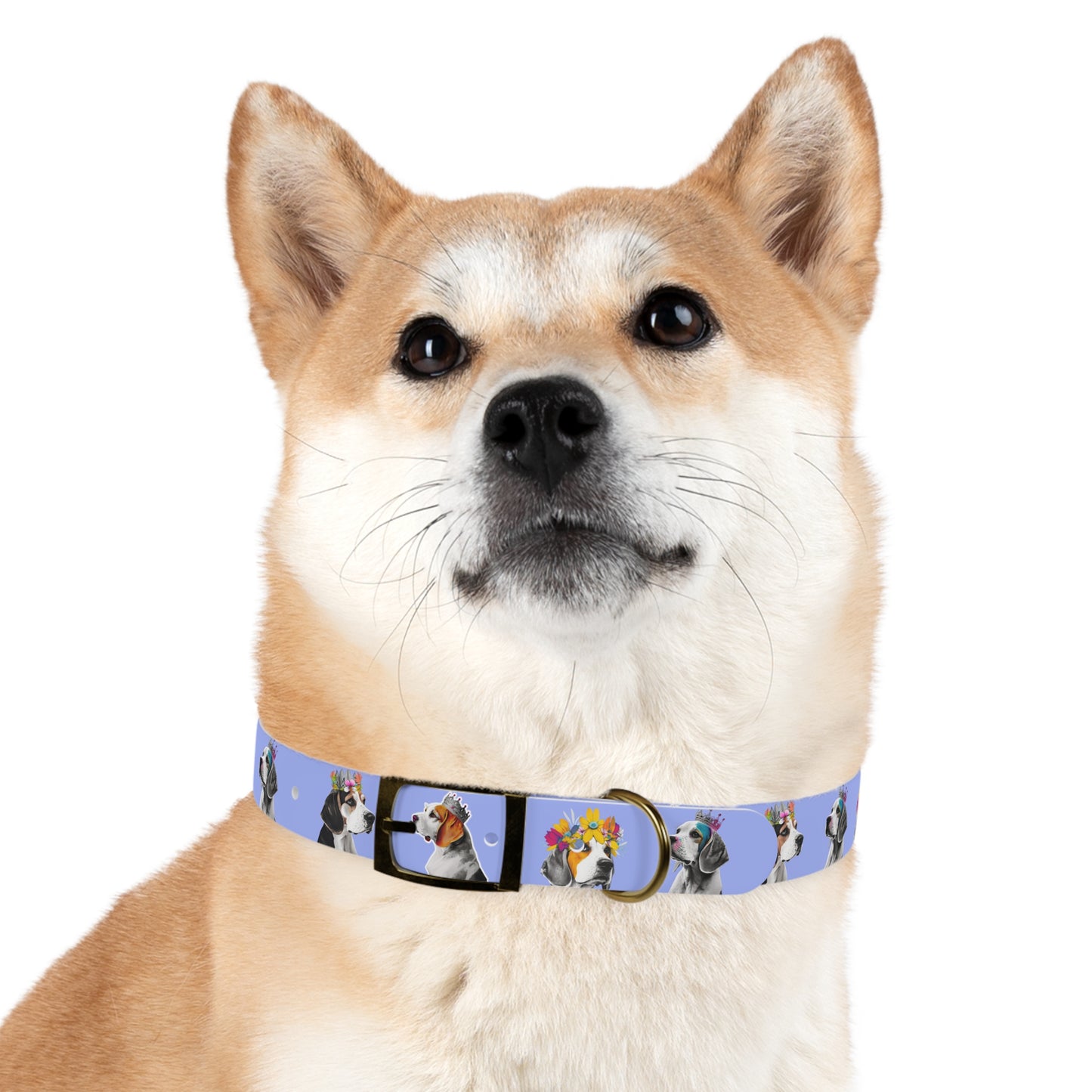 Beagle Print Dog Collar - Stylish Pet Accessory for Beagle Lovers