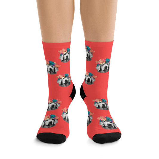 Colorful socks featuring a sunny tropical Pomeranian design, perfect for adding a playful and vibrant touch to any outfit.