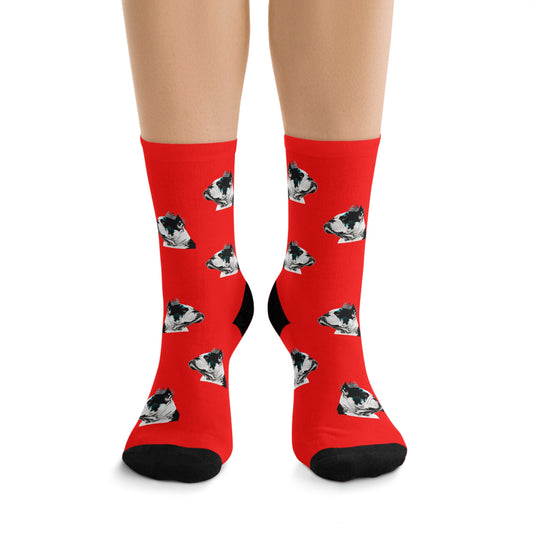 Red novelty socks featuring an XL Bully dog design.