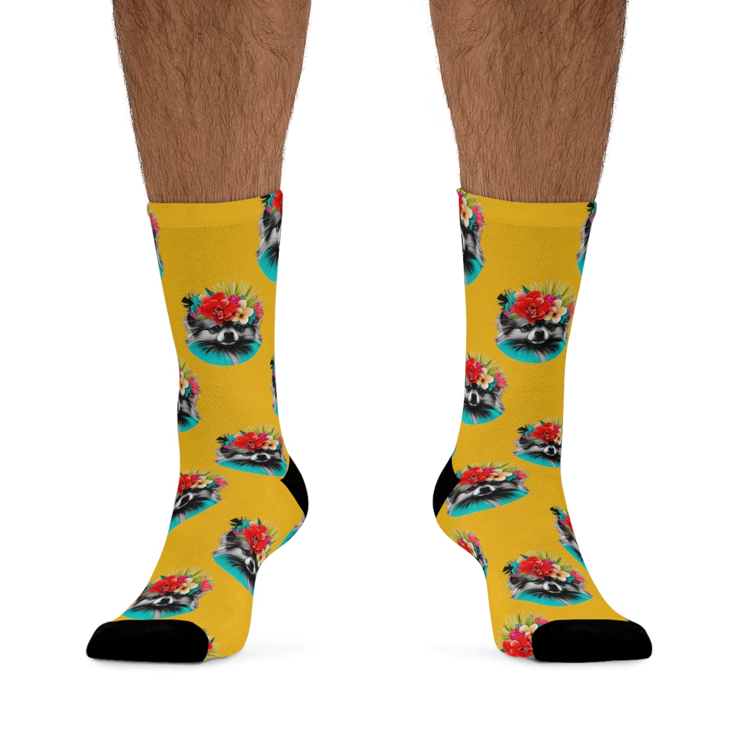 Sunny Tropical Pomeranian Novelty Socks