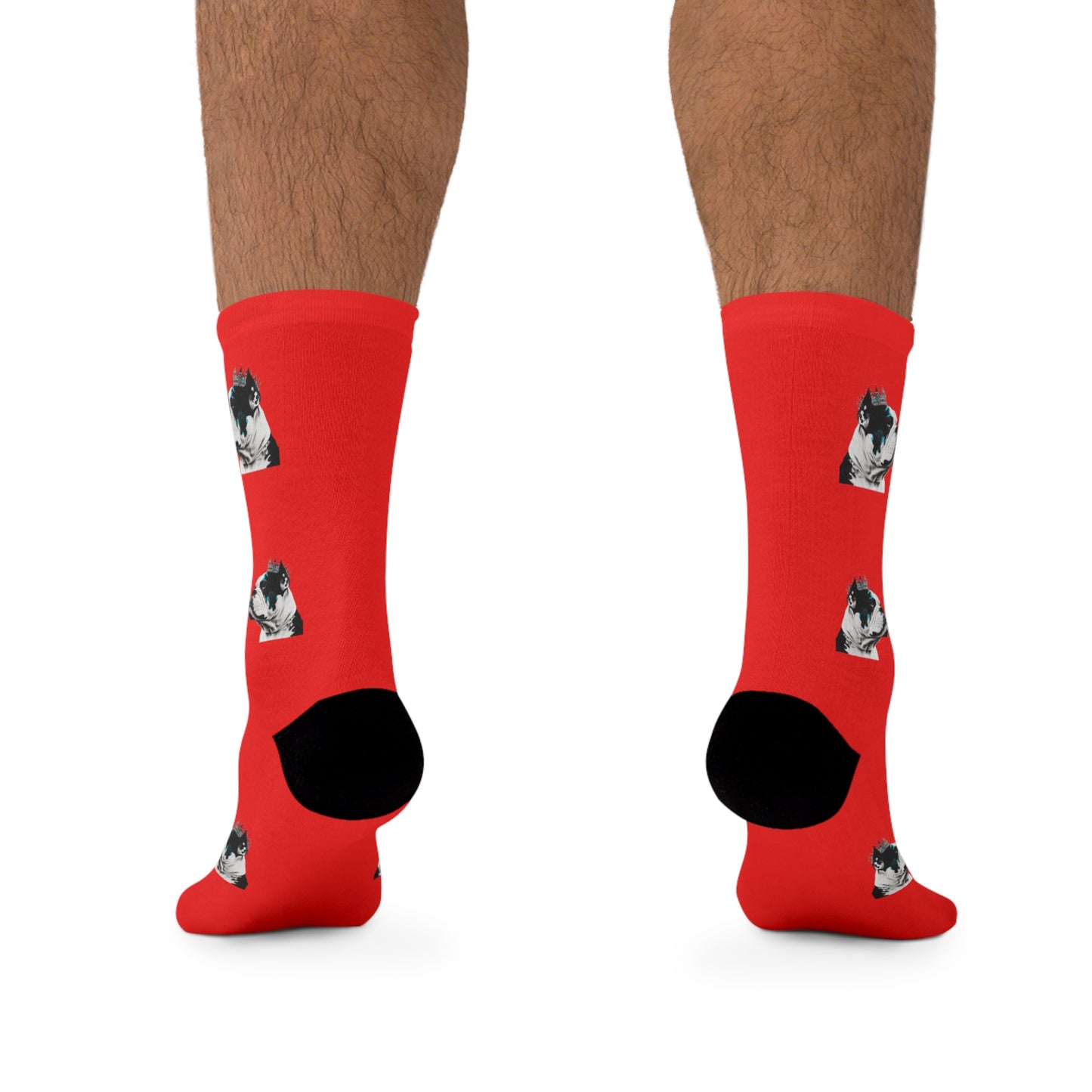 XL Bully on Red Novelty Socks 🧦🐶