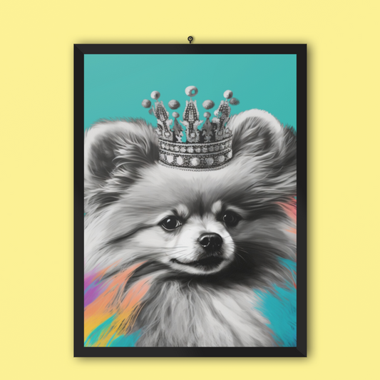 Black and White Pomeranian with Colours on Blue Poster Print