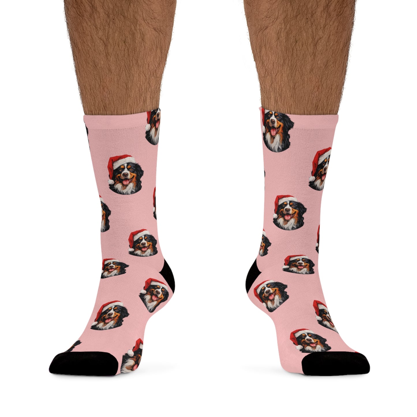 Bernese Mountain Dog Christmas Novelty Socks