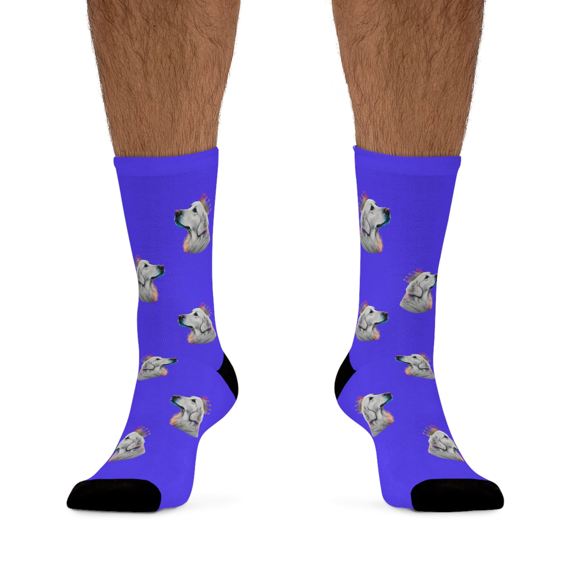 Novelty socks featuring a Regal Golden Retriever with a colorful crown set against a vibrant blue background, perfect for stylish dog enthusiasts.