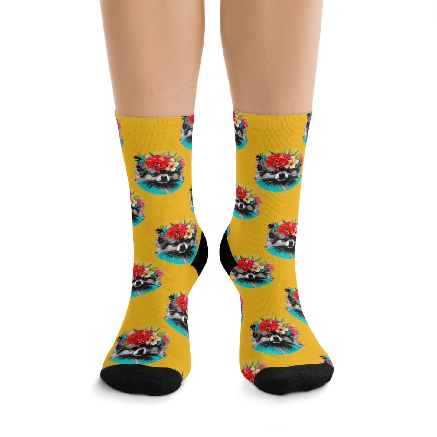 Sunny Tropical Pomeranian Novelty Socks