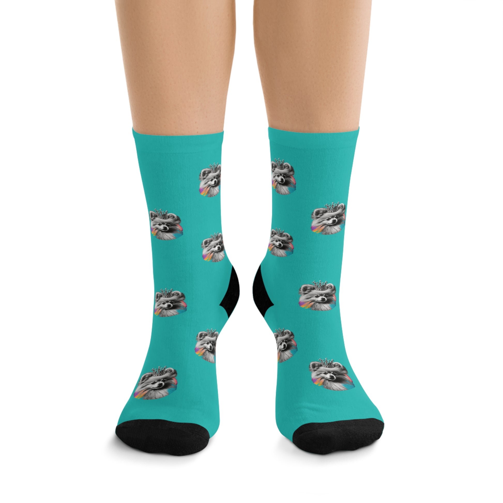 A pair of colorful novelty socks featuring a black and white Pomeranian with a burst of vibrant colors on a blue background